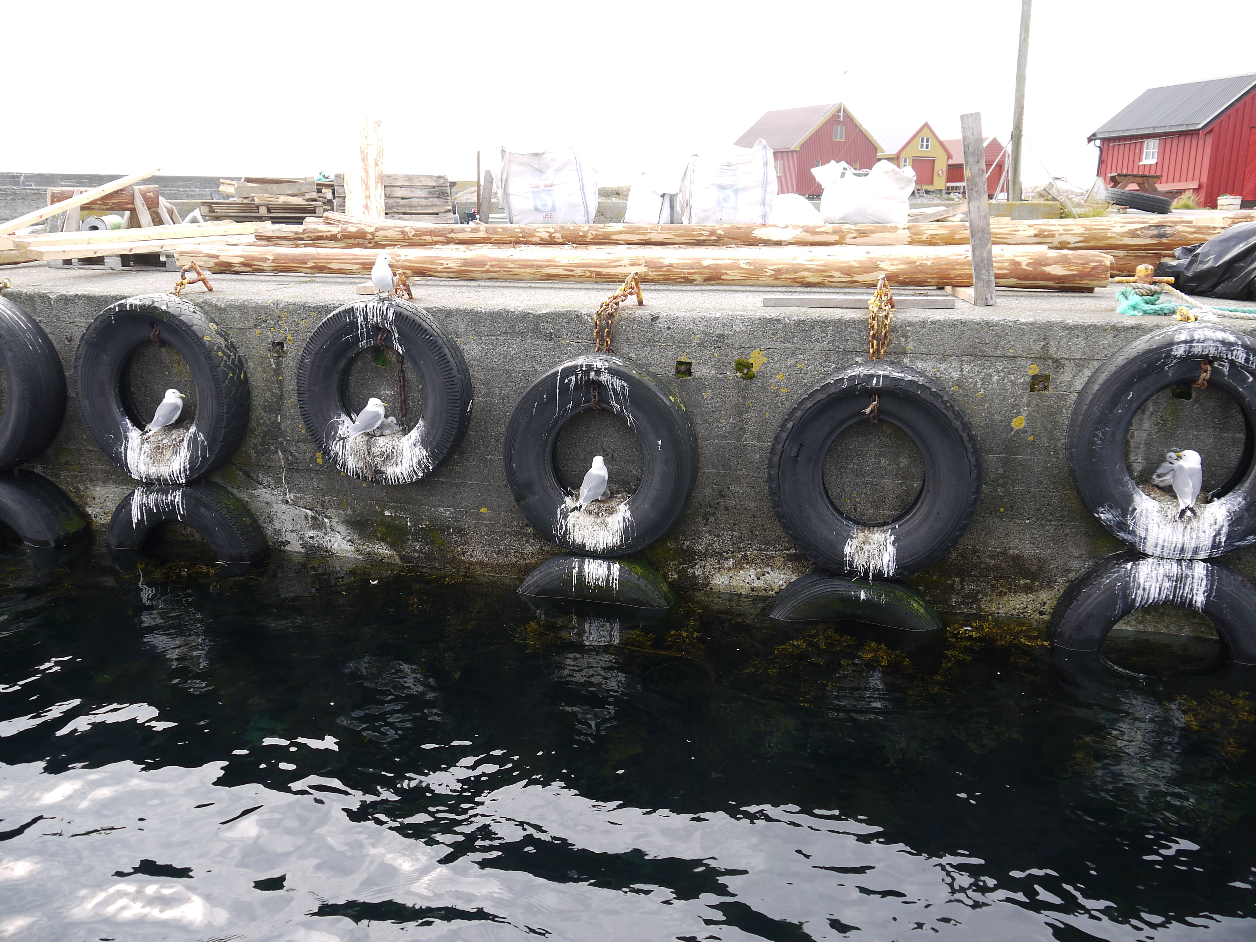 Reis 2013 lofoten bellefleur zeilreizen